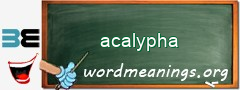 WordMeaning blackboard for acalypha